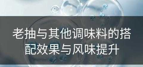 老抽与其他调味料的搭配效果与风味提升